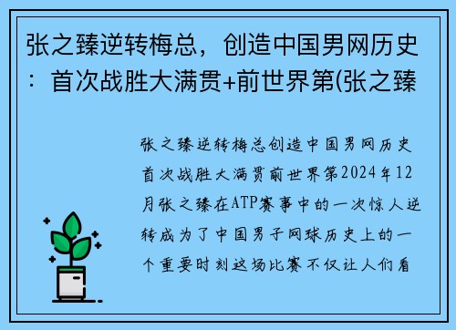 张之臻逆转梅总，创造中国男网历史：首次战胜大满贯+前世界第(张之臻网球视频)